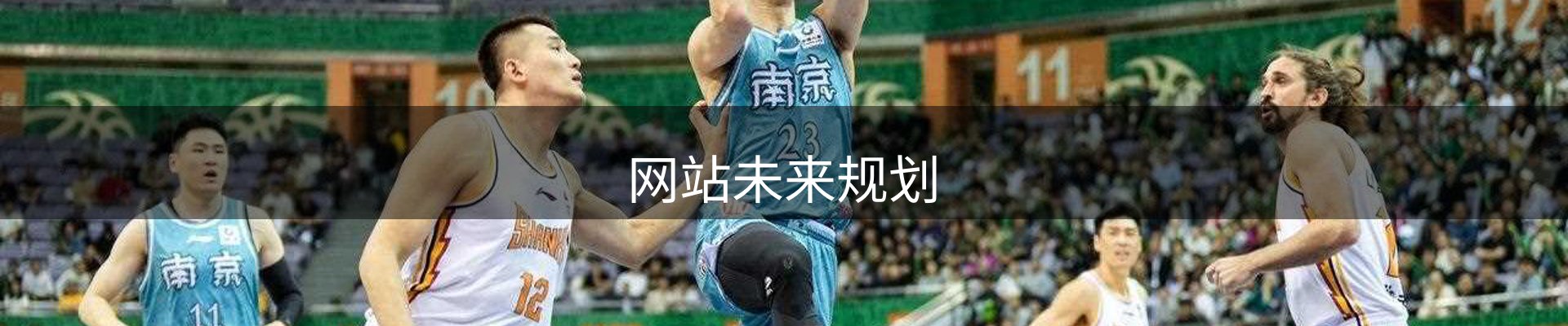 网站未来规划